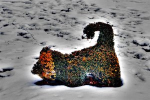 Topiary pet